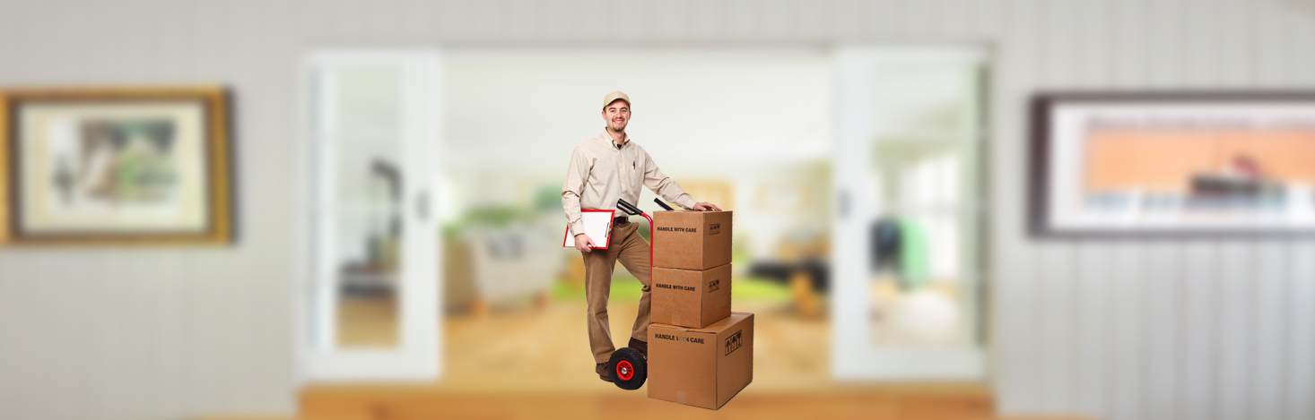 deluxe home packers and movers