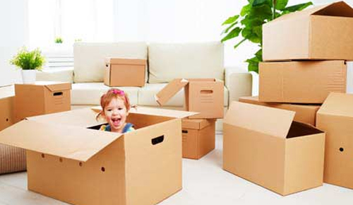 Packing and Moving Services